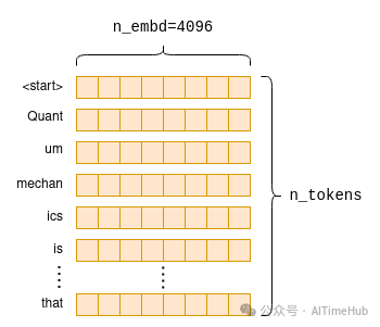 嵌入（Embedding）矩阵示意图