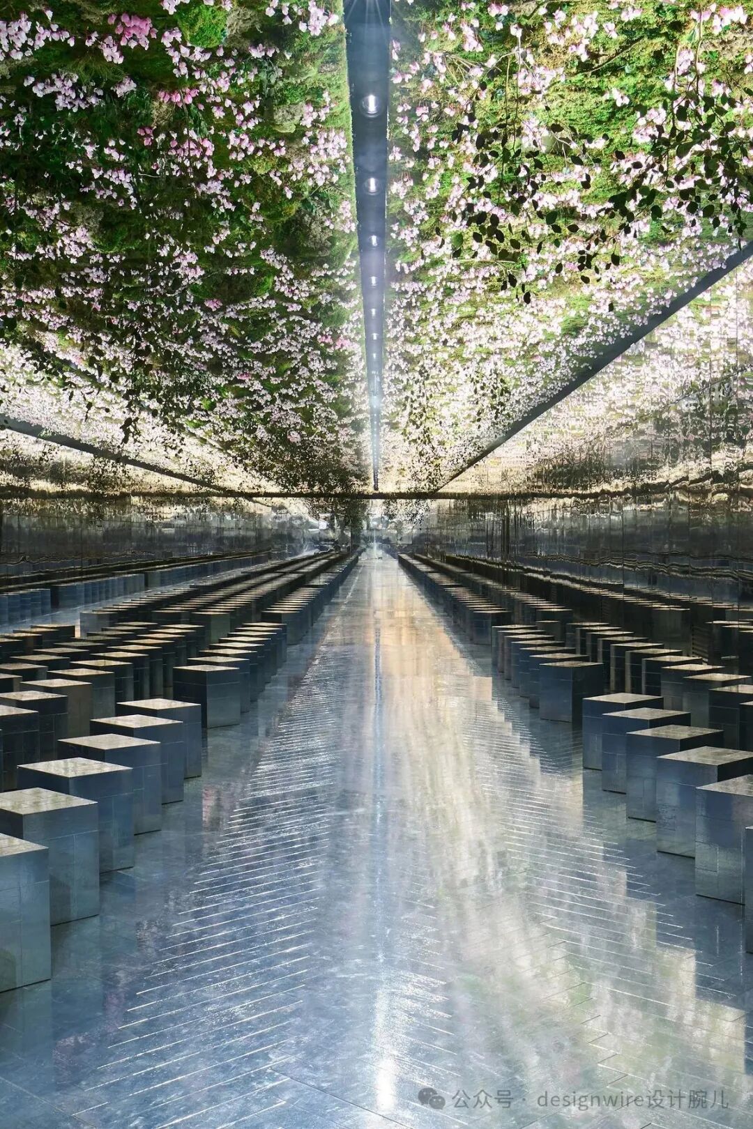 一条对称的室内长廊，地面为高反光的灰色条纹瓷砖，两侧排列着多排银色金属立方体座椅或展台，形成纵深感。天花板和上方墙面被大量绿色植物与粉白色樱花覆盖，营造出“空中花园”效果；中央顶部有一条垂直的黑色结构，内嵌一排圆形射灯，光线向下照射并在地面形成明亮光带。整个空间通过镜面反射产生无限延伸的视觉错觉，画面底部右下角有水印文字‘公众号 · designwire设计腕儿’。