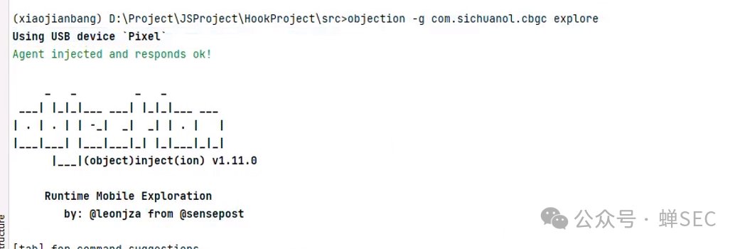 Objection成功注入目标应用