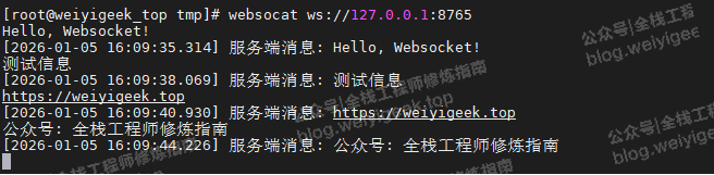 使用websocat工具测试WebSocket服务连通性