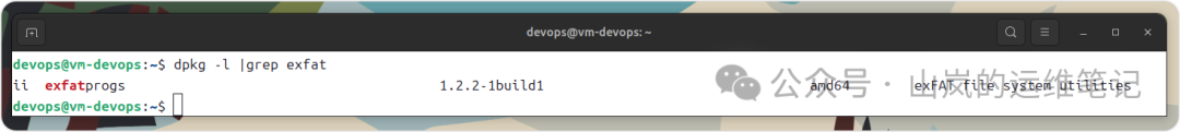 终端执行 dpkg -l | grep exfat 命令的输出截图
