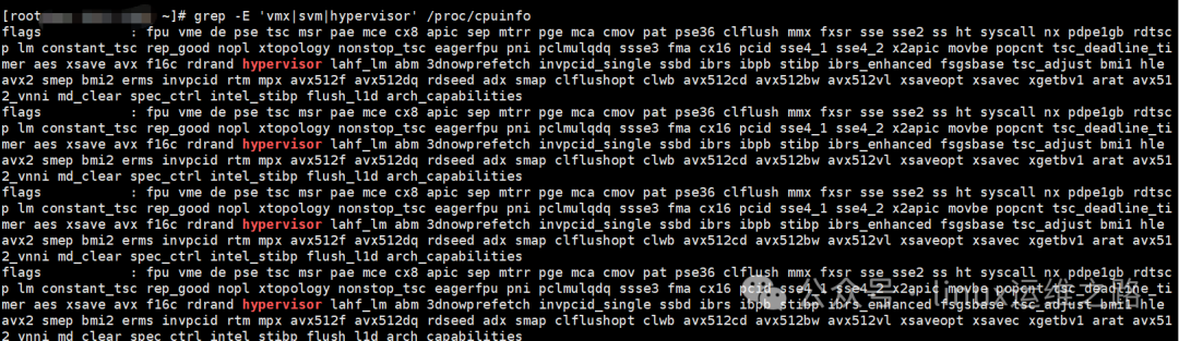 虚拟机CPU信息截图，显示flags包含hypervisor标志