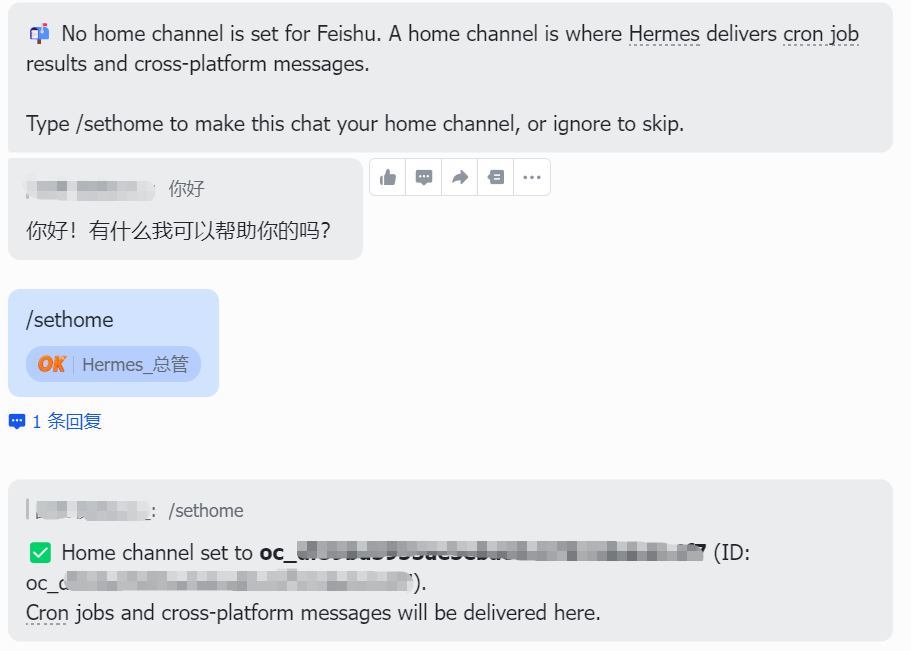 一张聊天界面截图，显示用户与名为'Hermes_总管'的机器人进行交互的过程。顶部提示信息说明当前未设置主页频道（home channel），并解释主页频道用于接收cron任务结果和跨平台消息；随后用户发送'你好！有什么我可以帮助你的吗？'，接着输入'/sethome'命令；机器人回复确认已将主页频道设置为指定ID（部分字符被模糊处理），并说明后续cron任务和跨平台消息将在此处送达。界面包含标准聊天气泡、操作按钮及蓝色回复标记。