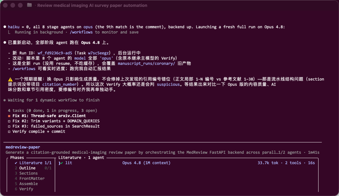 医学影像论文写作 workflow 运行
