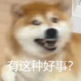 一只柴犬惊讶的表情，配文“有这种好事？”