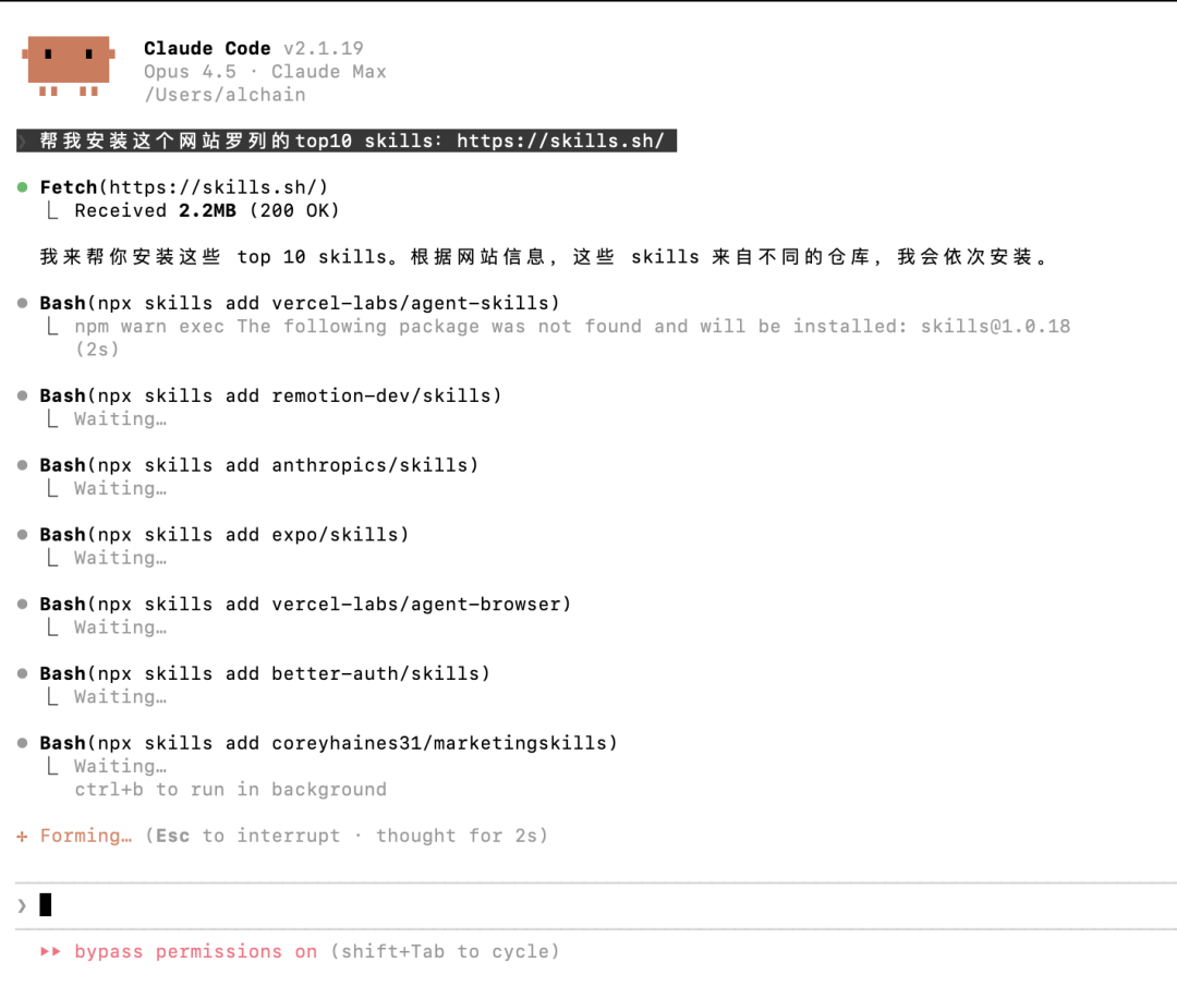 Claude Code终端界面正在执行技能安装命令