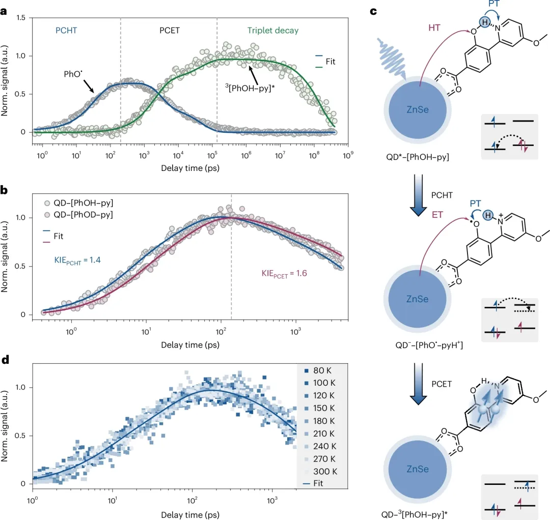 PS-TET动力学拟合、氘代同位素效应、机制示意图及变温动力学数据