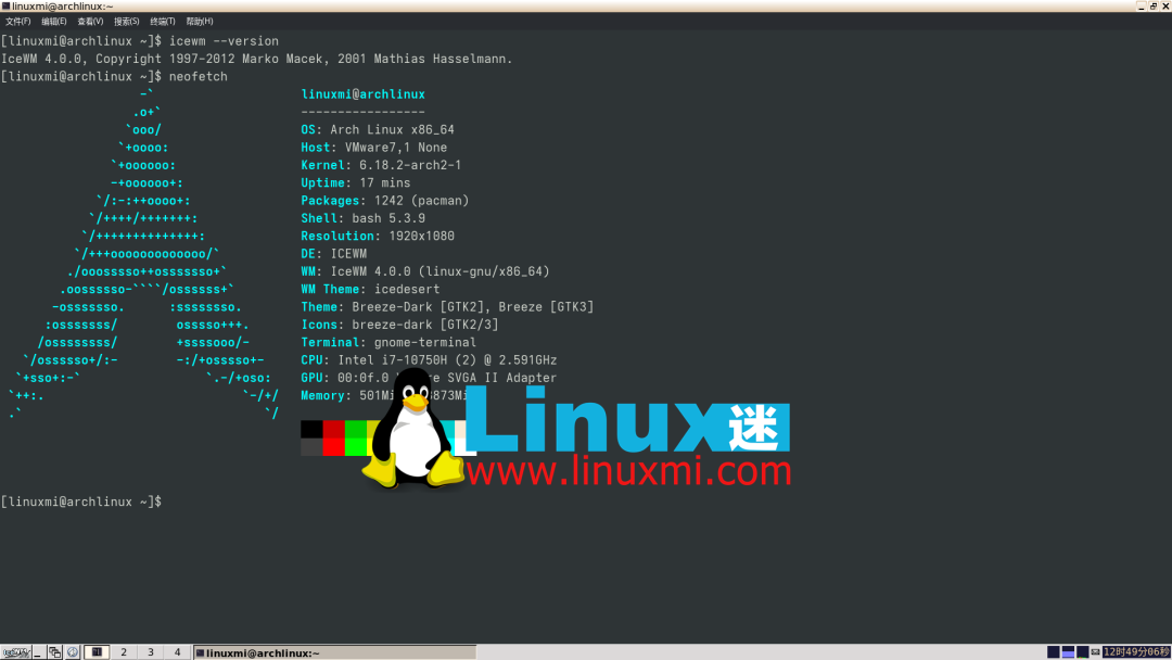 IceWM 4.0系统信息截图