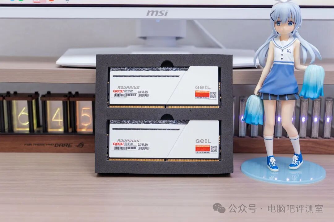 内存的黑色海绵内衬包装