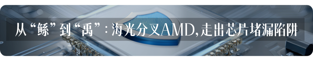 从“鯨”到“禹”：海光分叉AMD，走出芯片堵漏陷阱