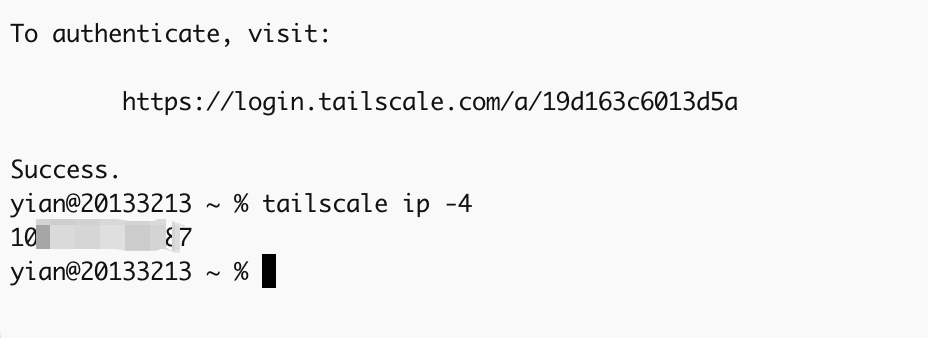 查看Tailscale分配IP地址的终端截图