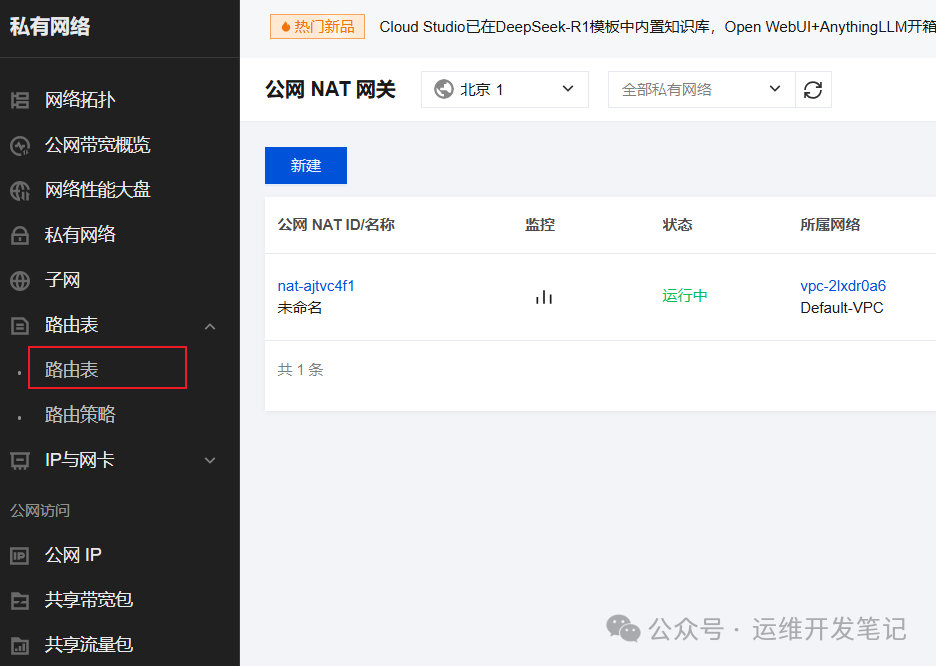 已创建的NAT网关实例