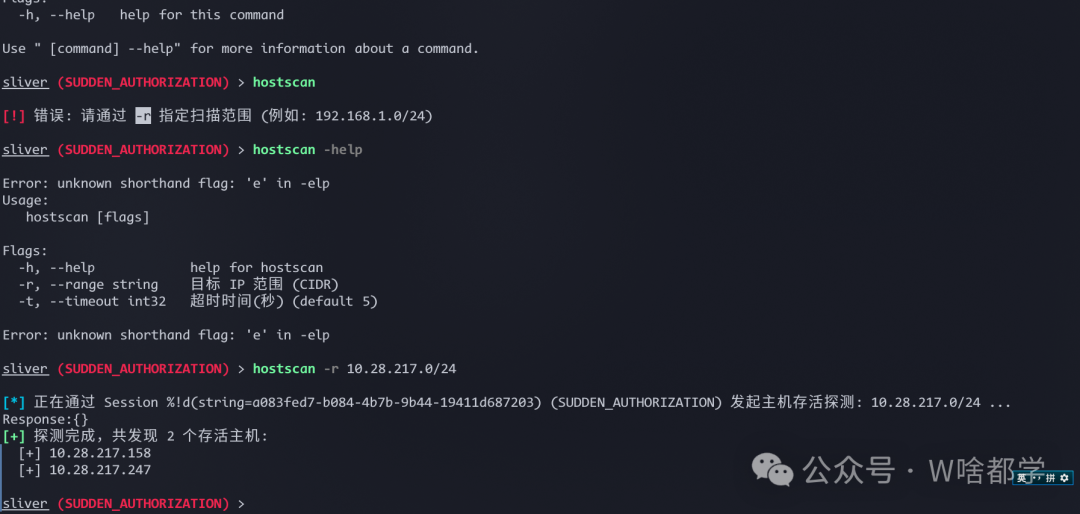 成功使用新增的hostscan命令进行ICMP扫描