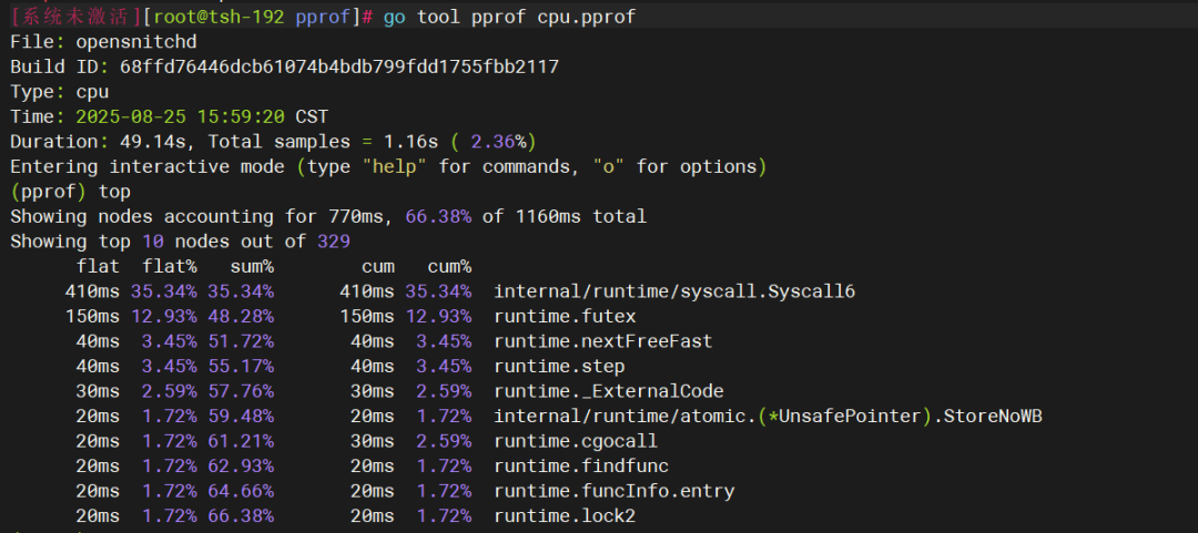 使用 go tool pprof 交互式命令行查看CPU热点函数