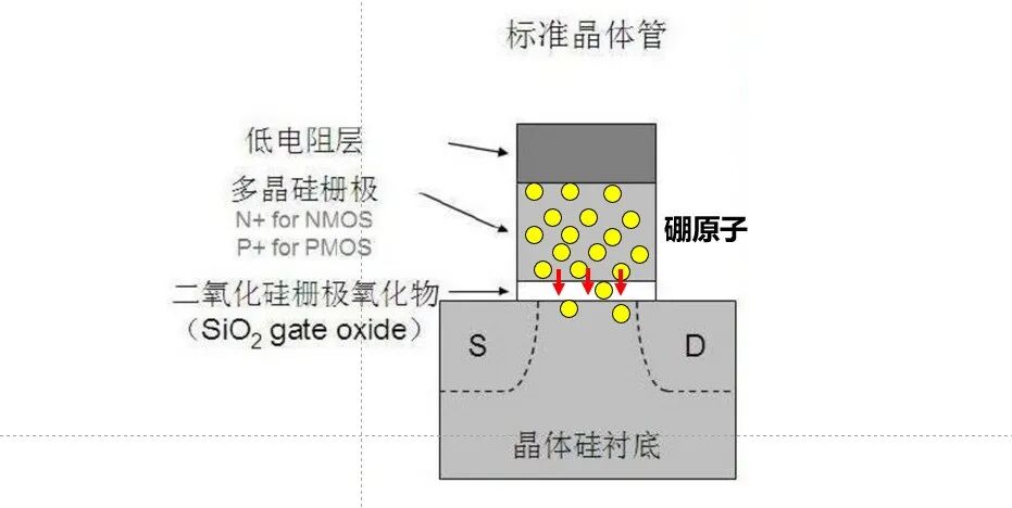 标准晶体管截面结构示意图：多晶硅栅极（含硼原子）、SiO₂栅氧、晶体硅衬底及源漏区域