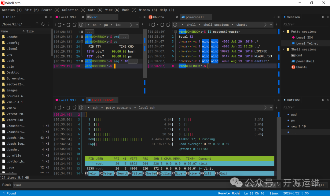 WindTerm多标签与进程管理界面