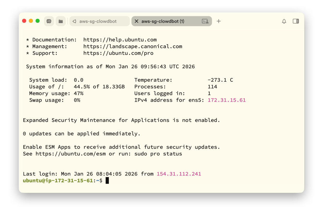 Ubuntu服务器终端界面