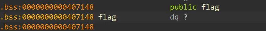IDA显示flag指针位于.bss段固定地址