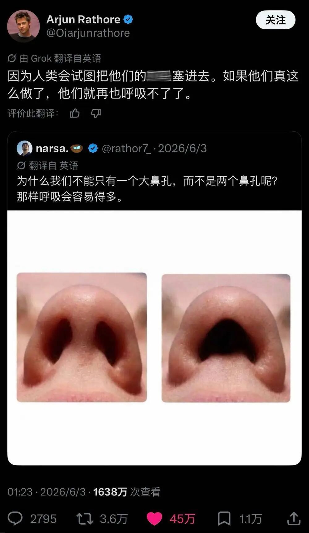 推文截图:为什么我们不能只有一个大鼻孔 / 因为人类会试图把他们的……塞进去