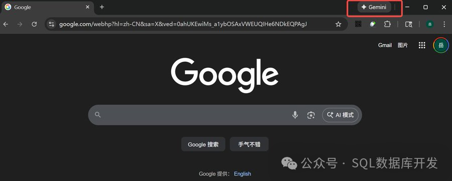 Chrome浏览器右上角显示已启用的Gemini图标