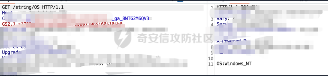 string/OS接口返回Windows系统