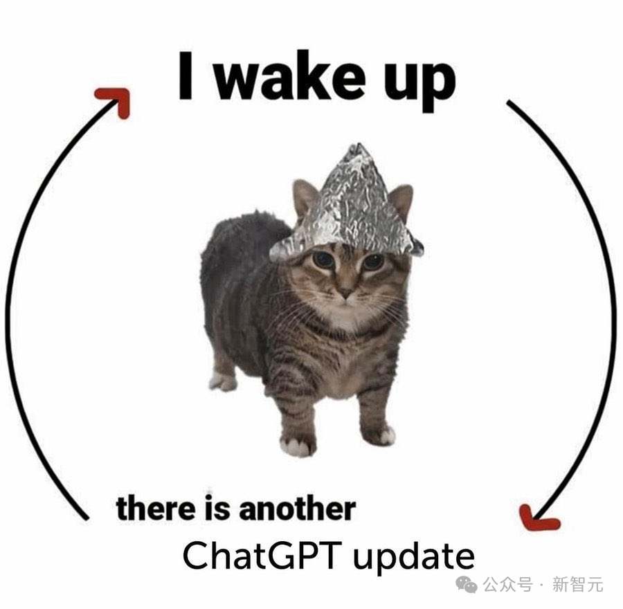 一只戴着铝箔帽子的猫配文醒来又有ChatGPT更新