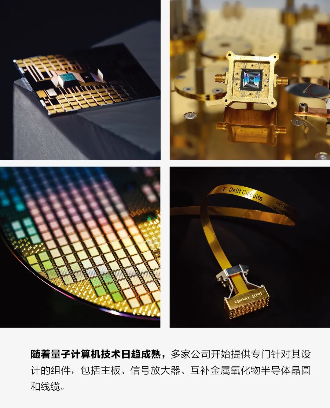 四张图片展示了量子计算机组件：左上是一块量子芯片，表面有金色电路与蓝色核心；右上是一个方形量子处理器，中央有蓝黑螺旋图案；左下是晶圆特写，呈现彩色光斑与规则排列的芯片单元；右下是印有“Delft Circuits”字样的金色柔性线缆。字体说明：随着量子计算机技术成熟，多家公司开始提供主板、信号放大器、CMOS晶圆和线缆等专用组件。