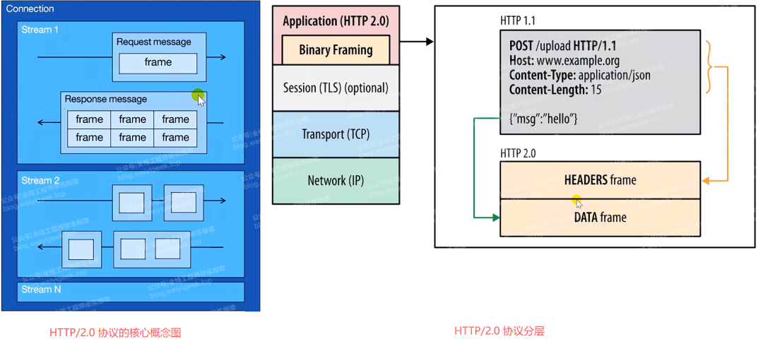 HTTP/2.0 协议的核心概念与分层