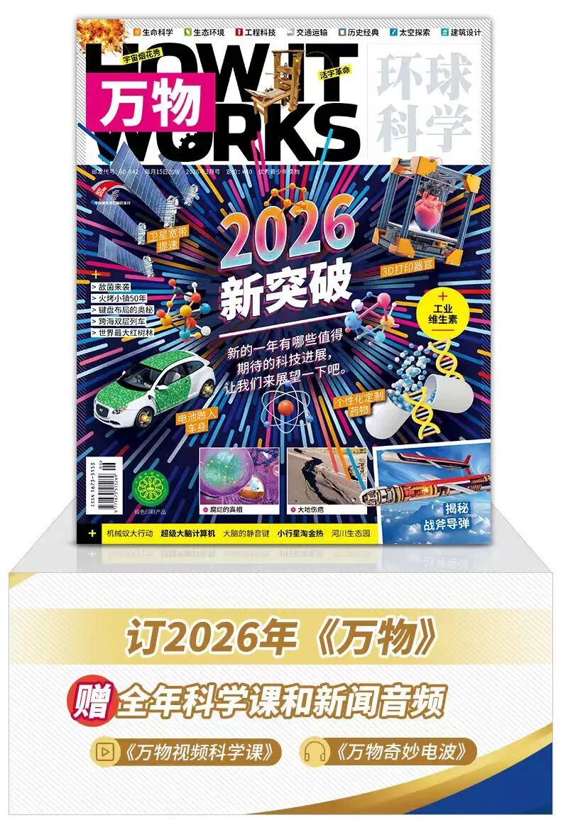 《万物》杂志2026年3月号封面