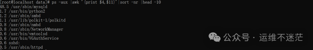 终端显示内存占用前十的进程