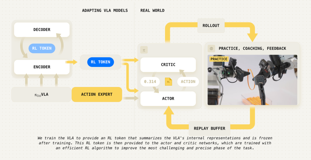 VLA与强化学习结合流程图