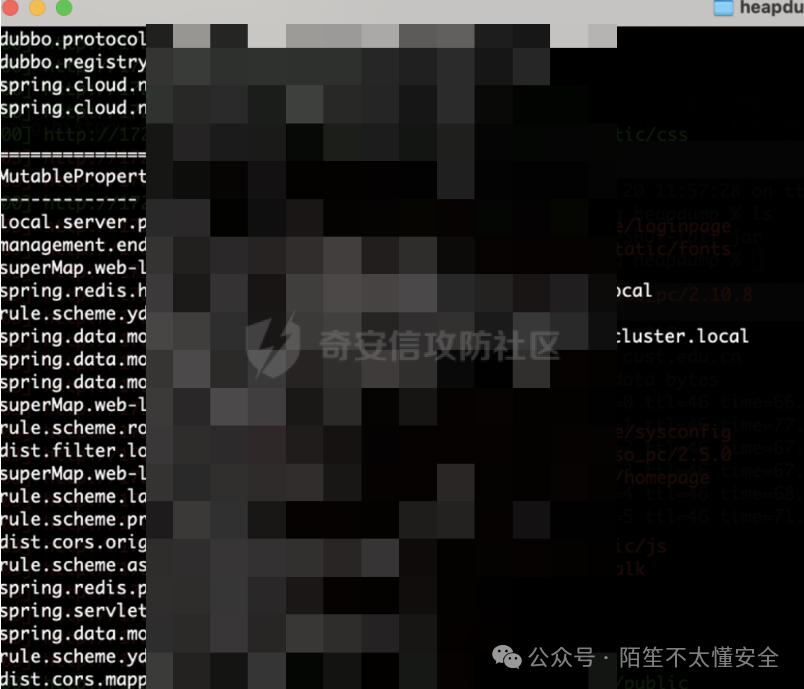 heapdump泄露配置文件截图