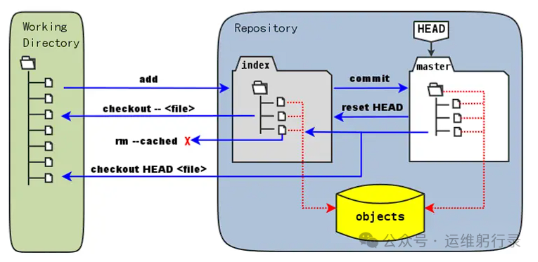 Git核心工作区与暂存区关系示意图