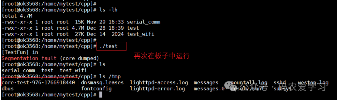 板子运行并拷贝core
