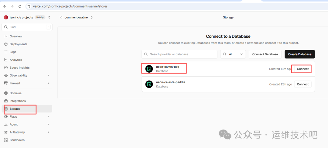 Storage页面显示已创建的Neon数据库