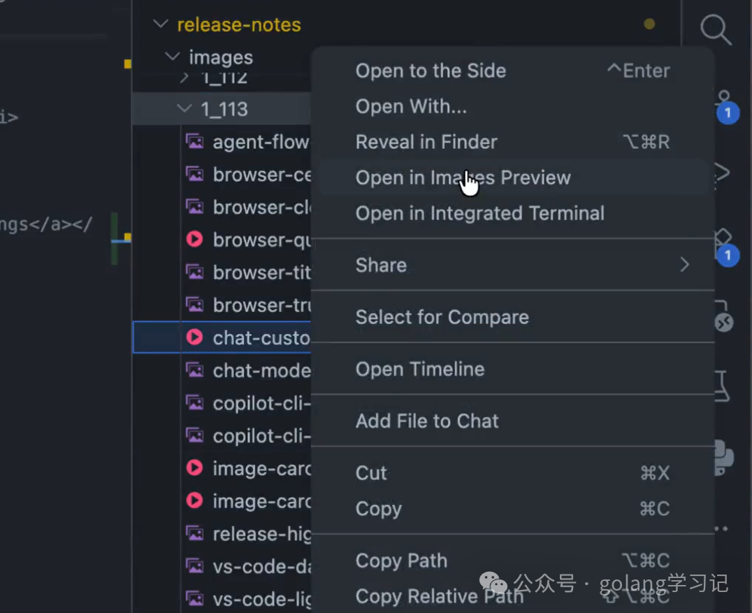 右键菜单中的“Open in Images Preview”选项