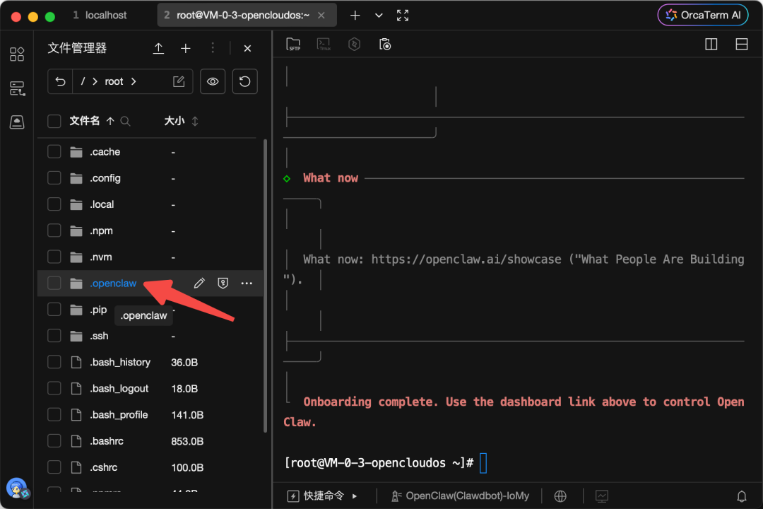 进入.openclaw目录