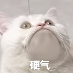 猫咪仰头“硬气”表情