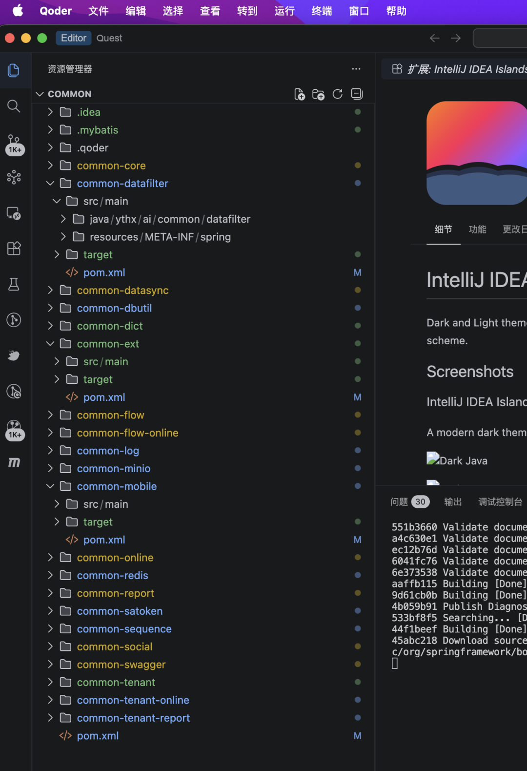 安装主题后的 Qoder 界面效果