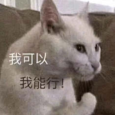 表情坚定的猫咪，配文“我可以我能行！”