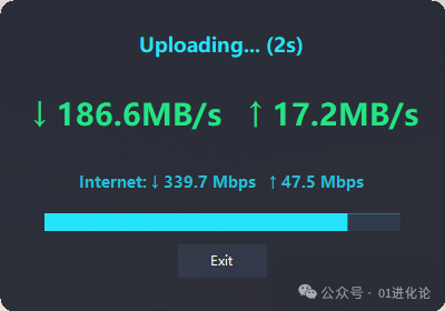 LiteMonitor网络测速与流量统计