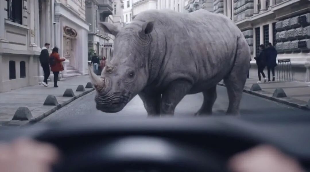 街头犀牛艺术装置，象征荒诞与挑战
