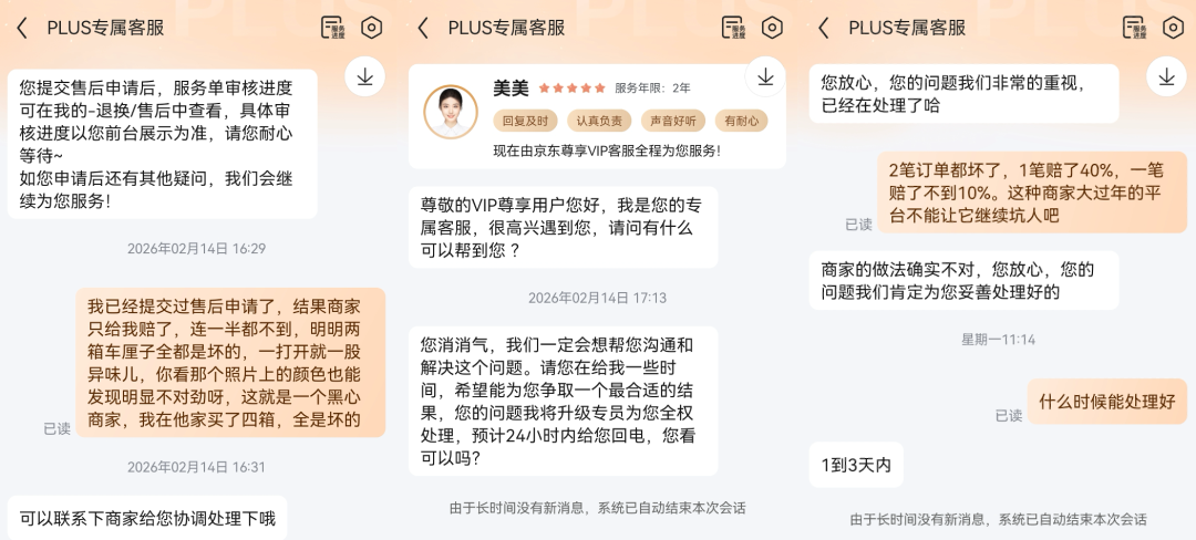 客服承诺处理但无实质进展的对话截图