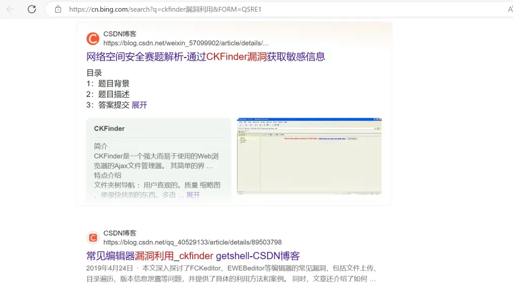CSDN博客文章列表截图，内容关于CKFinder漏洞