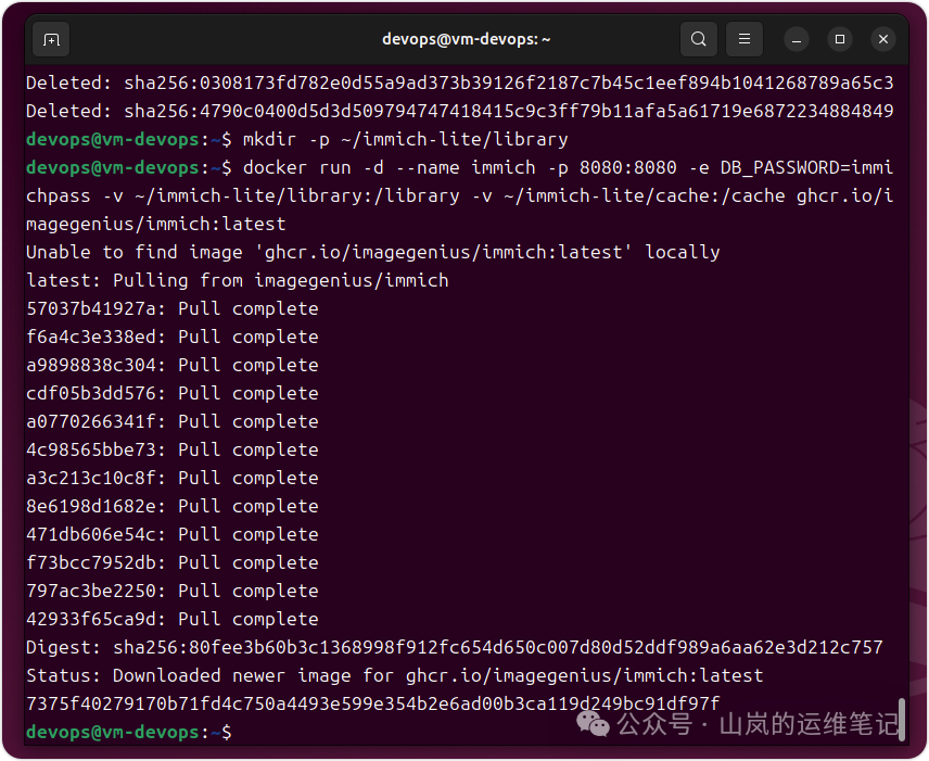 Docker单容器部署Immich命令执行终端截图