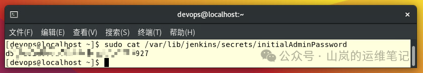 查看 Jenkins 初始管理员密码