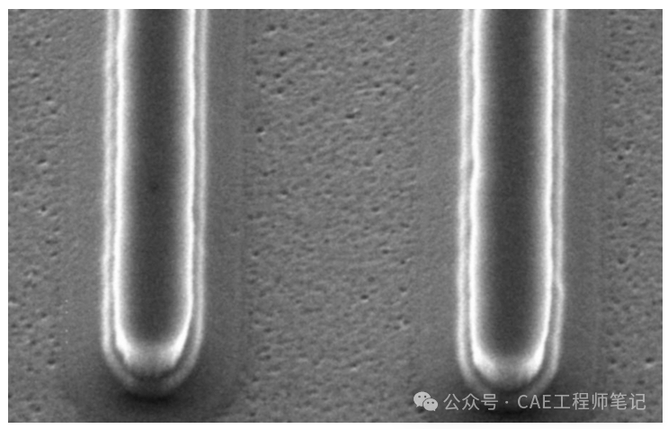 有石墨保护覆盖层退火后SiC表面SEM图