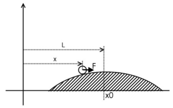 小球在光滑曲面上的平衡模型